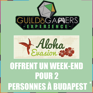 SuperGreen Terville - Soirée 80's chez Guild of Gamers Experience ! - 5134db53 325b 4d96 80a8 8f87f897651f - 1